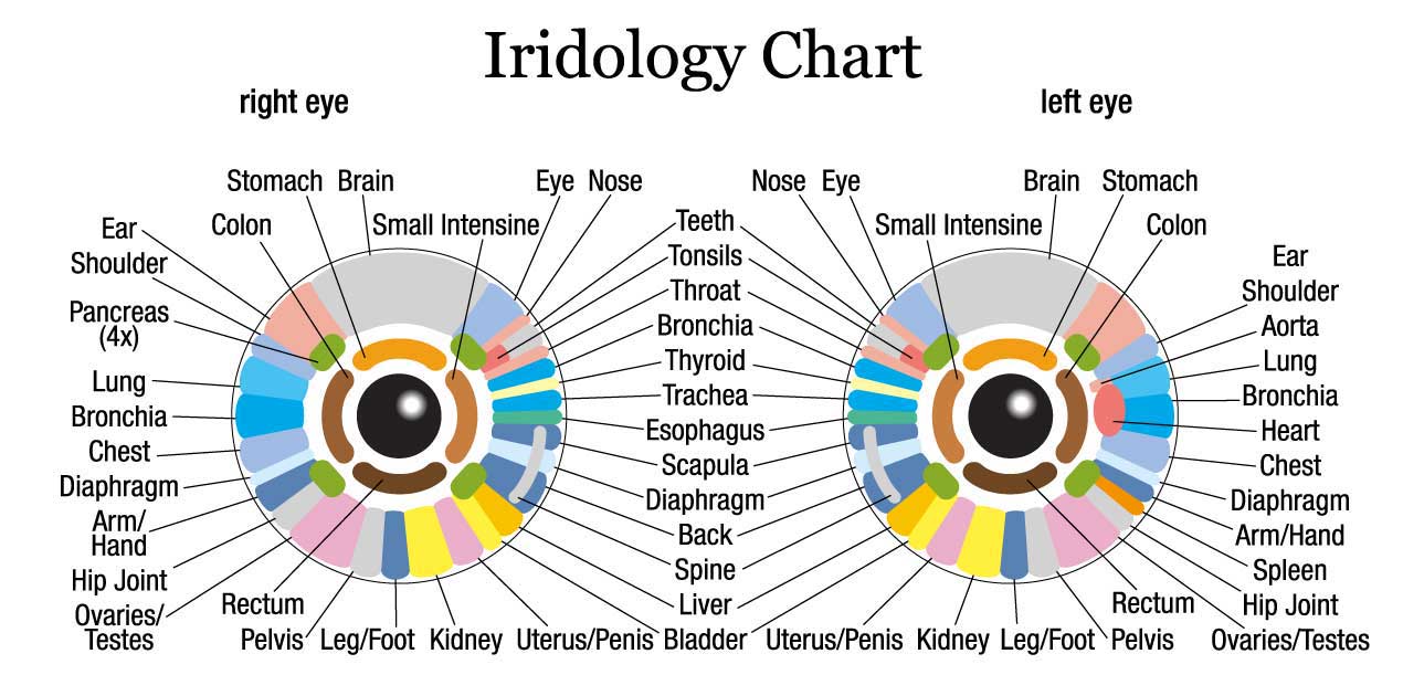 Iridology Chart in Hawthorne, NJ